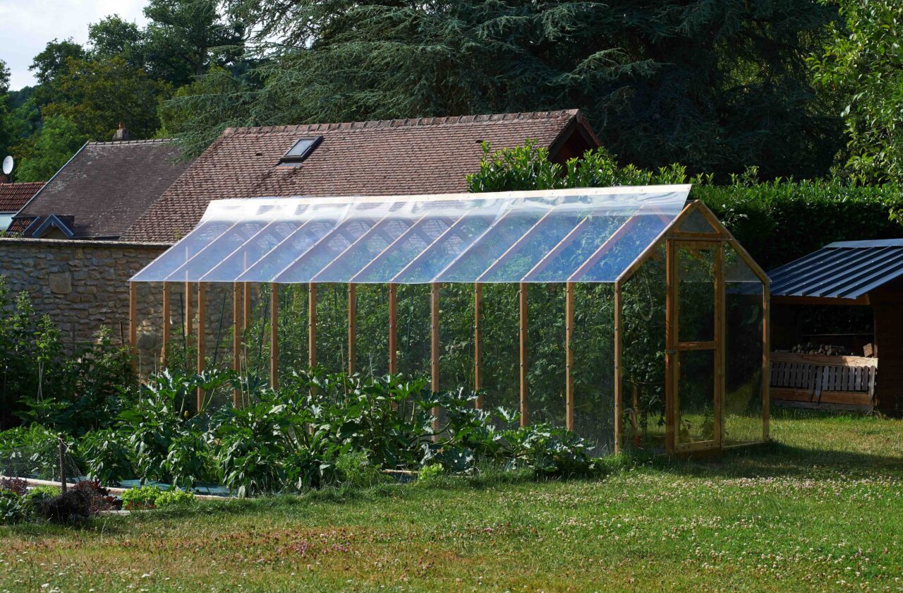 culture de tomates sous serre de jardin