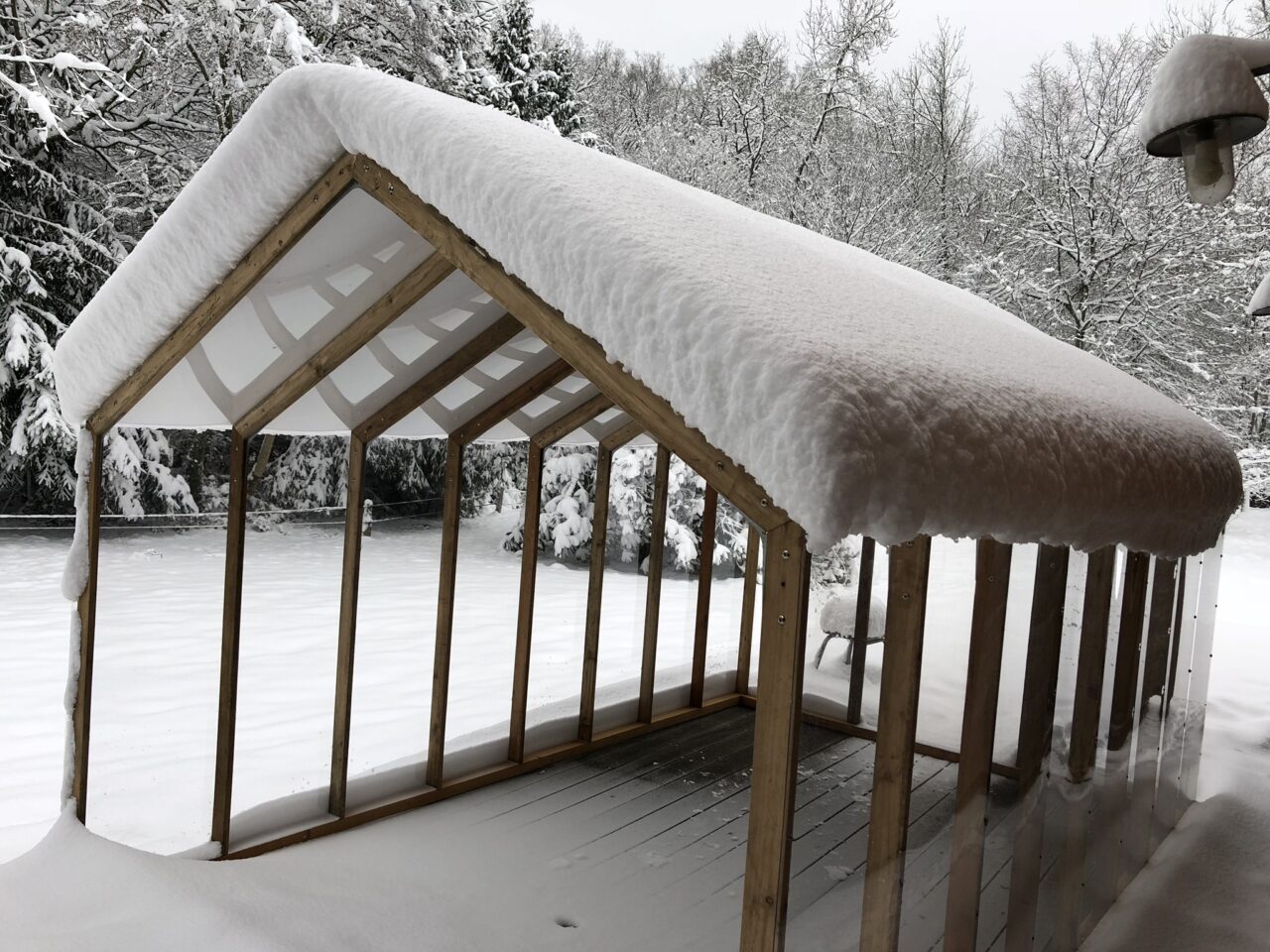 serres sous la neige hiver