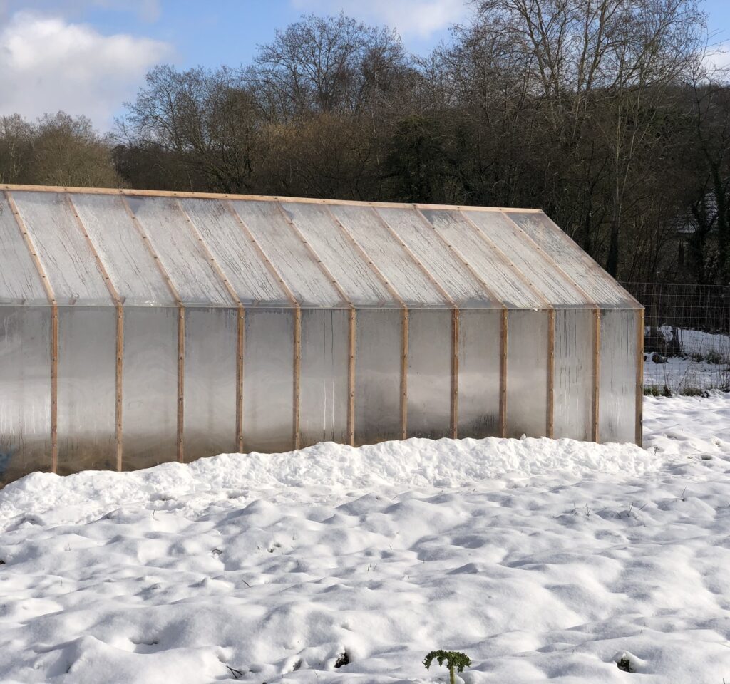 serres en bois hiver sous la neige